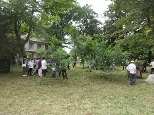 一橋植樹会