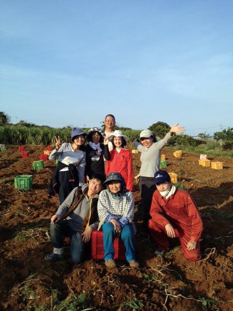 琉球大学の先生と有志の学生と一緒にじゃがいも収穫の様子
