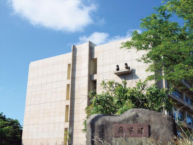 沖縄-琉球大学
