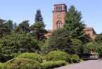 一橋大学