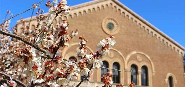 Hitotsubashi University