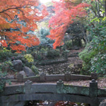 紅葉と石橋