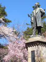 桜と銅像