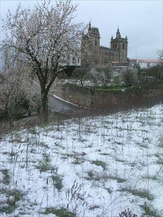 画像：ミランダのカテドラル、雪にアーモンドの花