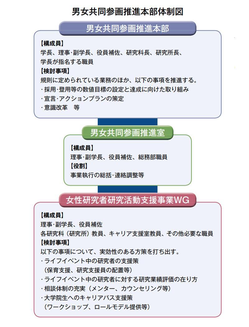 男女共同参画推進本部体制図