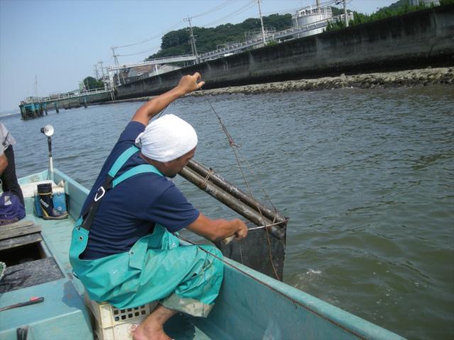 研究用ウナギ捕獲の様子
